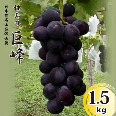 【先行受付】巨峰　1.5kg