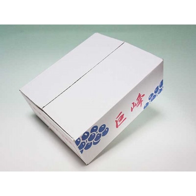 【先行受付】巨峰　1.5kg