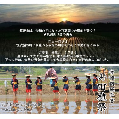 食味ランク【特A地帯】筑波山麓厳選★検査1等米こしひかり【恋瀬姫の舞】白米10kg令和5年産