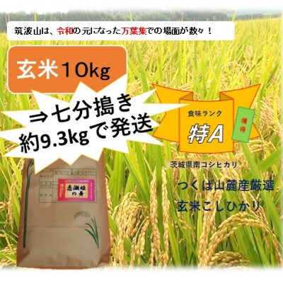 【玄米10kg⇒七分搗き米】筑波山麓厳選★検査1等米こしひかり【恋瀬姫の舞】令和5年産