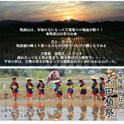 五種類味比べ☆恋瀬姫と獅子舞、石岡三銃士 白米5種類計10kg