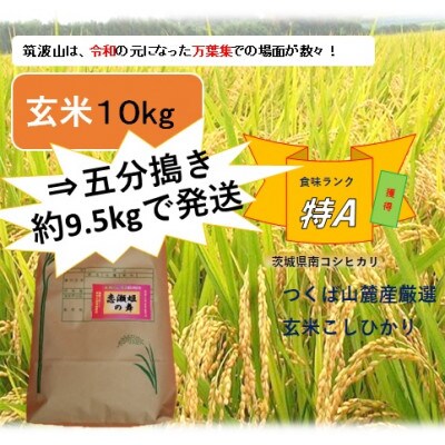 【玄米10kg⇒五分搗き米】筑波山麓厳選★検査1等米こしひかり【恋瀬姫の舞】令和5年産