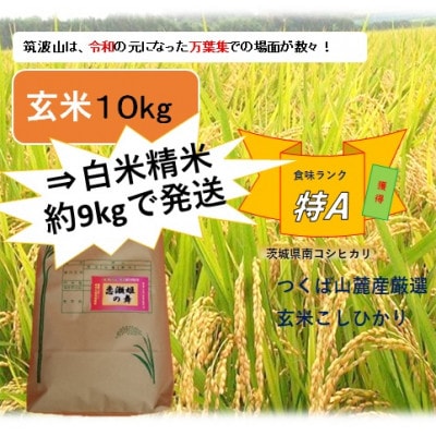 【玄米10kg⇒白米精米】筑波山麓厳選★検査1等米こしひかり【恋瀬姫の舞】令和5年産