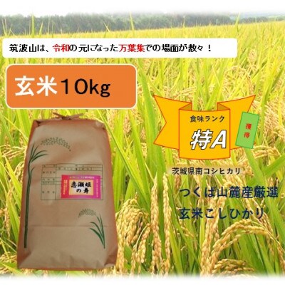 【玄米10kg】筑波山麓厳選★検査1等米こしひかり【恋瀬姫の舞】令和5年産