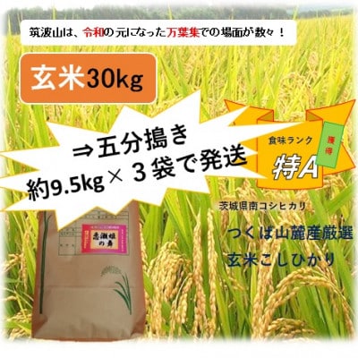 【玄米30kg⇒五分搗き⇒小分け3袋】★★筑波山麓厳選検査1等米こしひかり【恋瀬姫の舞】令和5年産