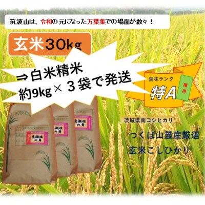 【玄米30kg⇒白米精米⇒小分け3袋】★★筑波山麓厳選検査1等米こしひかり【恋瀬姫の舞】令和5年産
