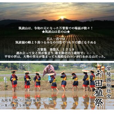 【玄米30kg⇒白米精米⇒小分け3袋】★★筑波山麓厳選検査1等米こしひかり【恋瀬姫の舞】令和5年産