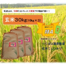 【玄米30kg⇒小分け3袋】★★筑波山麓厳選検査1等米こしひかり【恋瀬姫の舞】令和5年産