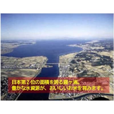 筑波山麓産米を中心に厳選した【茨城県産こしひかり】白米5kg 令和7年産