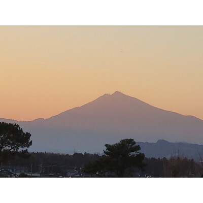 茨城県産こしひかりミックス 白米5kg 令和7年産