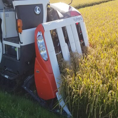 茨城県産こしひかりミックス 白米5kg 令和7年産