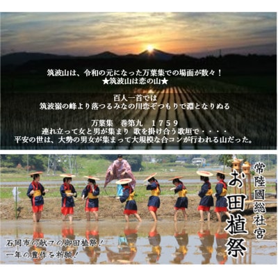 【玄米10kg⇒五分搗き米】筑波山麓厳選★検査1等米こしひかり【恋瀬姫の舞】令和7年産