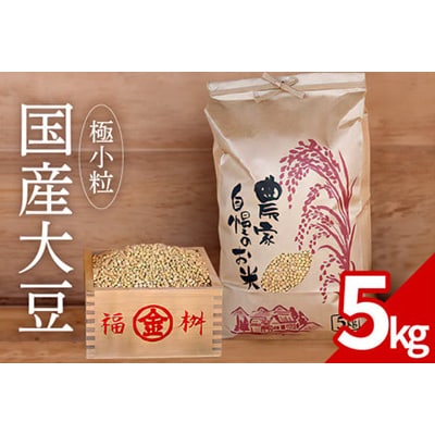 令和6年産　大豆5kg(極小粒)