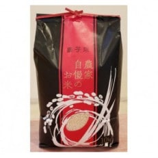 獅子米 もち米(マンゲツモチ) 精米10kg【令和6年産】
