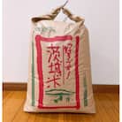 獅子米 もち米(マンゲツモチ) 玄米30kg【令和6年産】