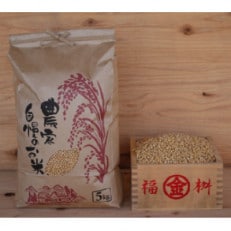 令和5年産　大豆5kg(極小粒)