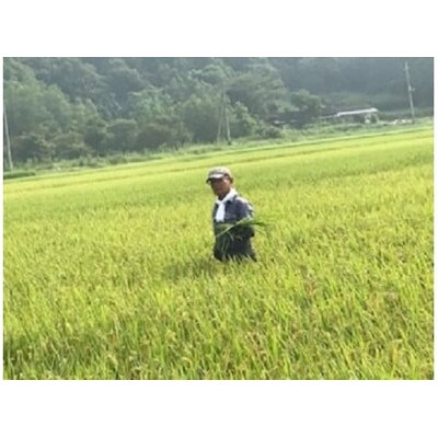 【令和5年産】新年特別企画 獅子米 特Aコシヒカリ 玄米 30kg