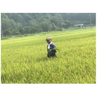 【令和5年産】新年特別企画 獅子米 特Aコシヒカリ玄米 10kg