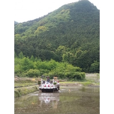 【令和5年産】新年特別企画 獅子米 特Aコシヒカリ玄米 10kg