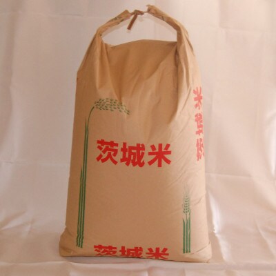 【令和5年産】新年特別企画 獅子米 あきたこまち玄米 30kg