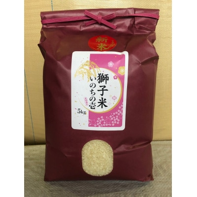 【令和7年産】獅子米 いのちの壱 精米 5kg