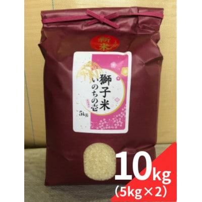 【令和7年産】獅子米 いのちの壱 精米 10kg