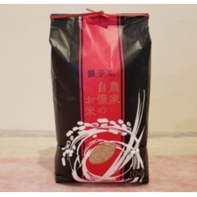 【令和7年産】獅子米 ゆうだい21 玄米 10kg