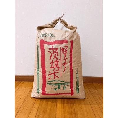 【令和7年産】獅子米 ゆうだい21 玄米 30kg