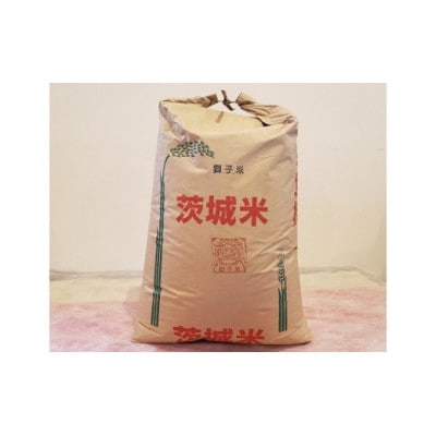 【令和7年産】獅子米 ミルキークイーン 玄米 30kg