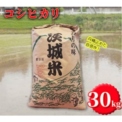 【令和7年産】獅子米 コシヒカリ 玄米 30kg