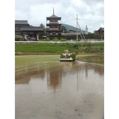 【令和7年産】獅子米 あきたこまち 精米10kg