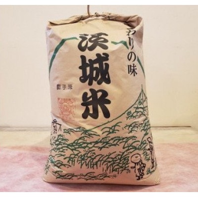 【令和7年産】獅子米 あきたこまち　玄米30kg
