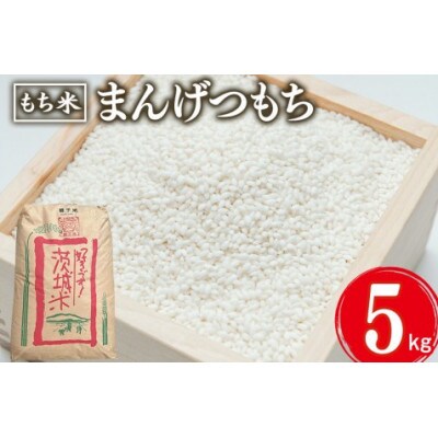 まんげつもち 精米 5kg
