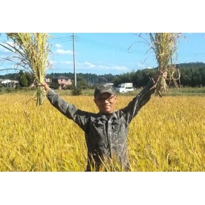 まんげつもち 精米 5kg