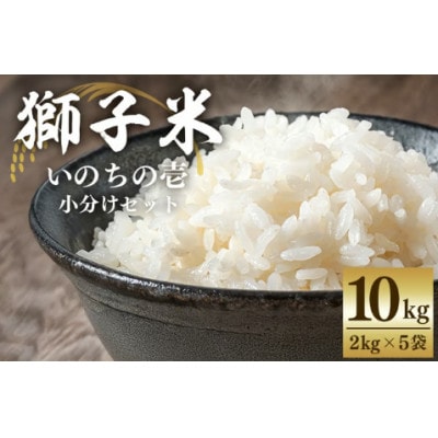 獅子米 いのちの壱 小分け セット 10kg (2kg×5袋)