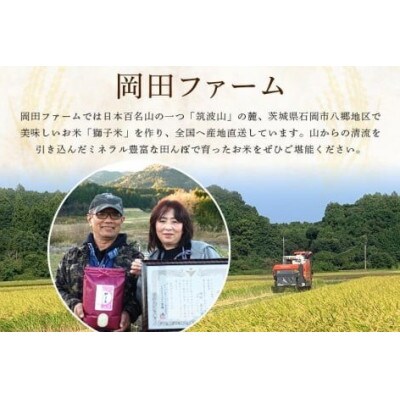 獅子米 いのちの壱 小分け セット 10kg (2kg×5袋)