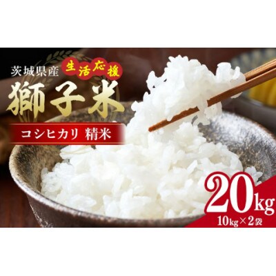 生活応援!獅子米コシヒカリ精米 20kg(10kg×2袋)