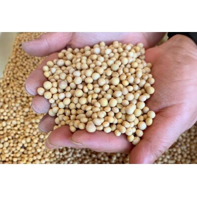 極小粒　大豆　30kg