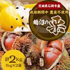 【先行予約2025年9月中旬より順次発送】茨城県石岡市産　鶴沼の生栗2kg