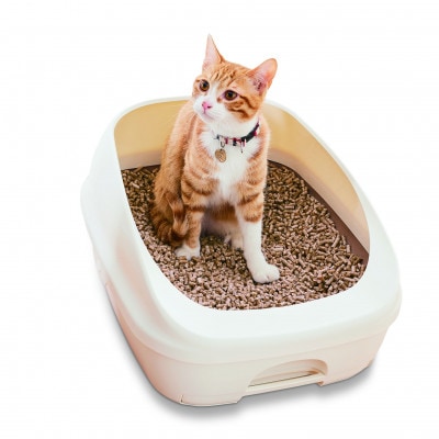 ソローのシステムトイレ用猫砂　4袋
