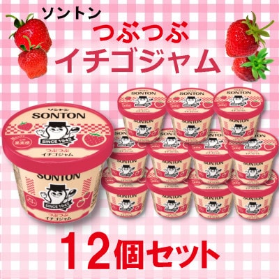 ソントン　いちご　12個