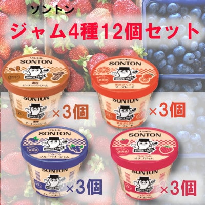 ソントン　いちご3個　ブルーベリー3個　マーマレード3個　ピーナッツ3個