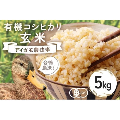 【令和7年産】有機栽培米 コシヒカリ 玄米 5kg 合鴨農法