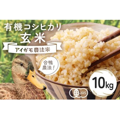【令和7年産】有機栽培米 コシヒカリ 玄米 10kg 合鴨農法