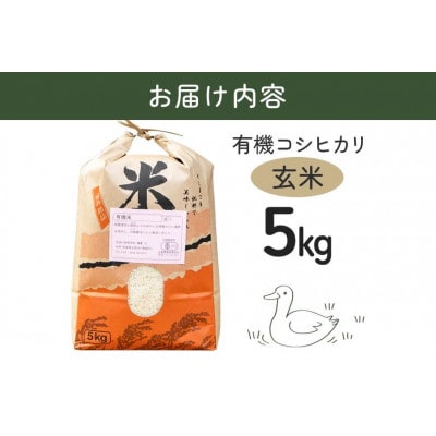 【令和8年産】有機栽培米 コシヒカリ 玄米 5kg 合鴨農法