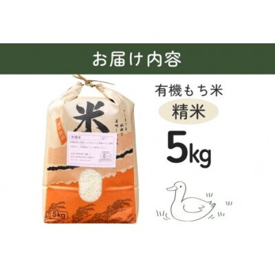 【令和7年産】有機栽培米 もちごめ(精米)  5kg 合鴨農法