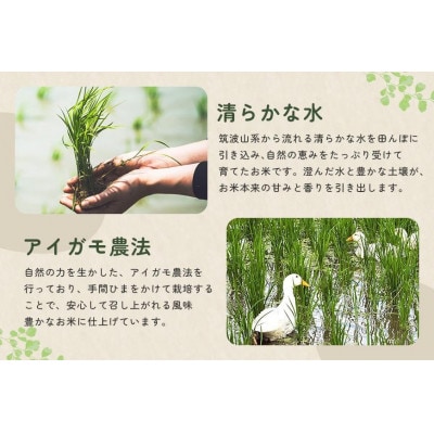 【令和7年産】有機栽培米 もちごめ(精米)  10kg 合鴨農法