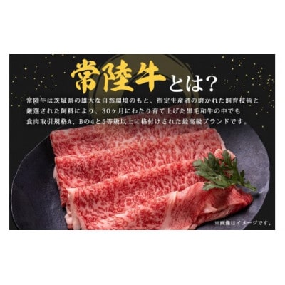 常陸牛　切り落とし700g(350g×2)　C09-001