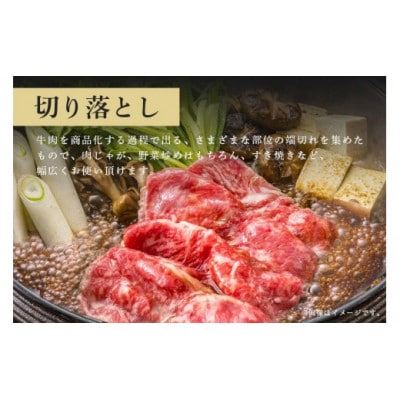常陸牛　切り落とし700g(350g×2)　C09-001