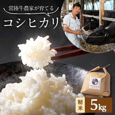 令和6年産 茨城県産 常陸牛農家が育てた コシヒカリ 精米 5kg